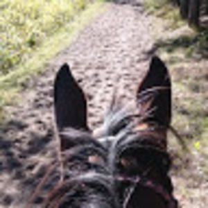 Meet your Posher, Louann